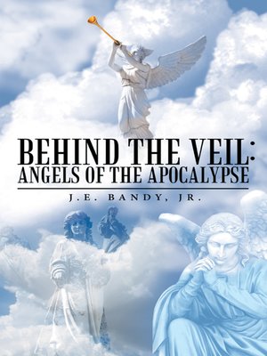 cover image of Behind the Veil